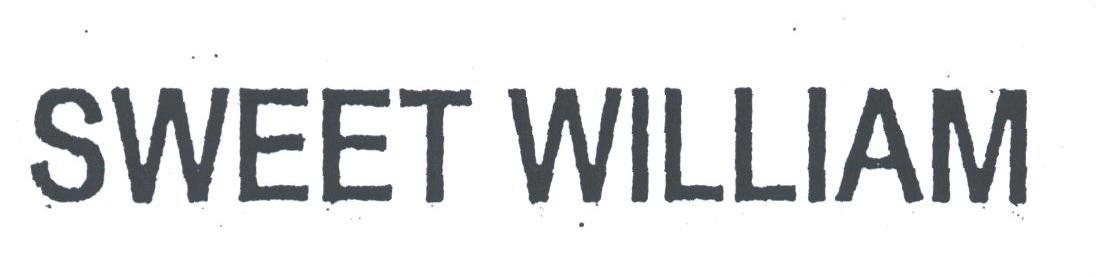 SWEET WILLIAM