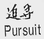 追寻   PURSUIT