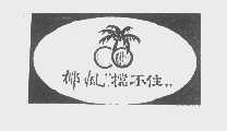 椰风挡不住