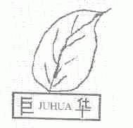 巨华
