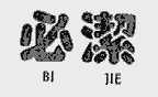 必洁