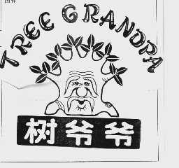 树爷爷  TREE GRANDPA