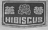 芙蓉