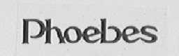 PHOEBES