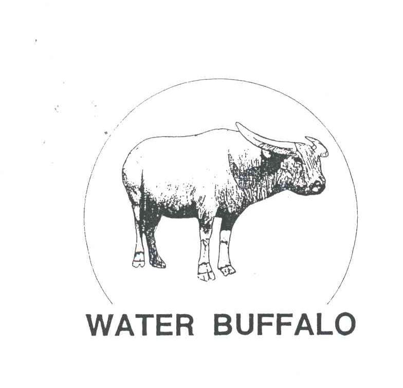 WATER BUFFALO