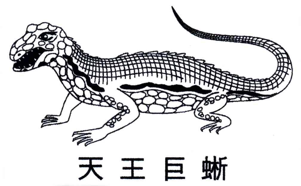 天王巨晰