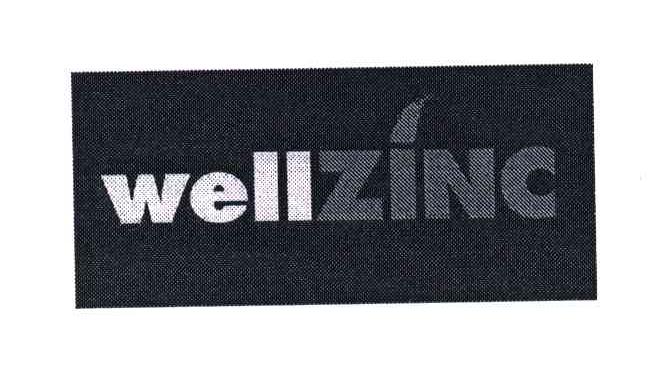 WELLZINC