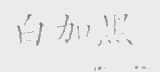 白加黑
