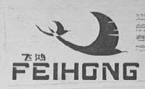 飞鸿