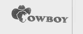 OWBOY