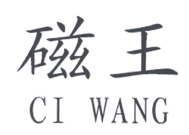 磁王