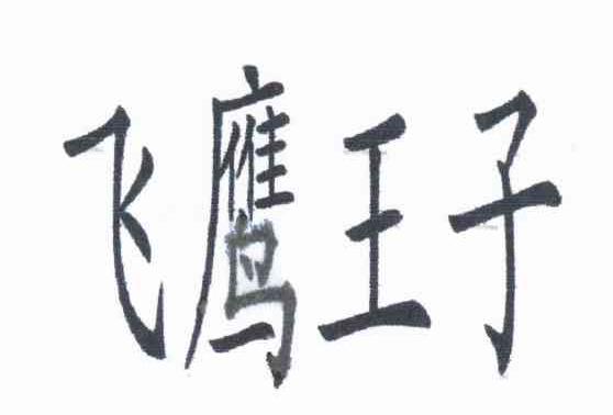 飞鹰王子