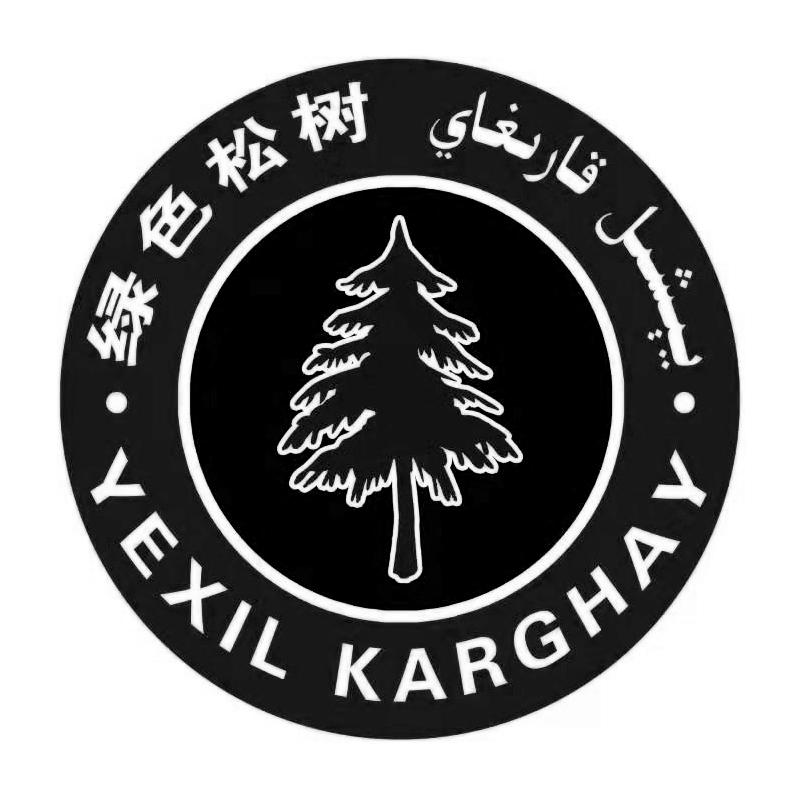 绿色松树 YEXIL KARGHAY