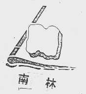 南林