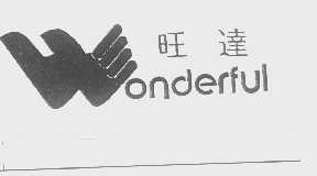 旺达   WONDERFUL