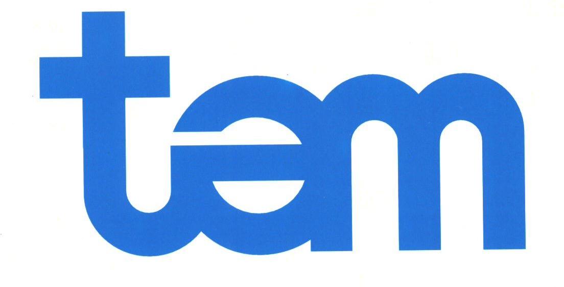 TEM
