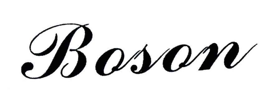 BOSON