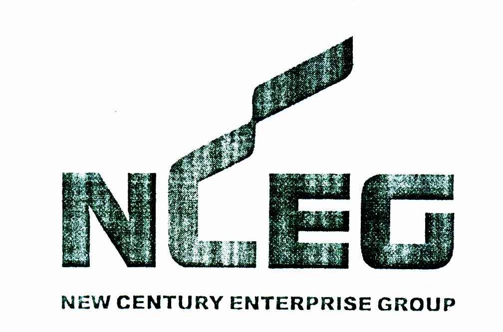 NCEG NEW CENTURY ENTERPRISE GROUP