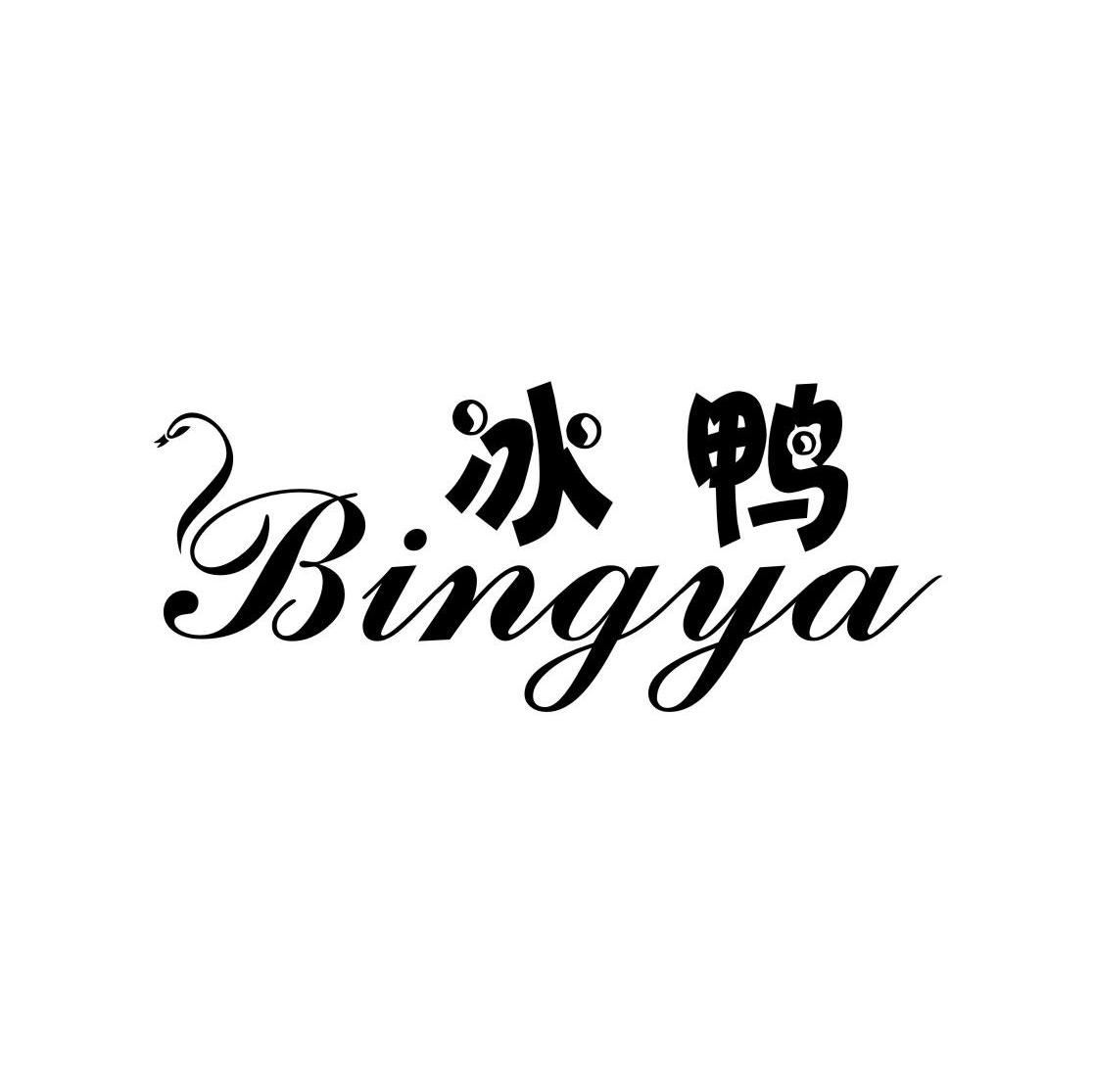冰鸭