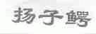 扬子鳄