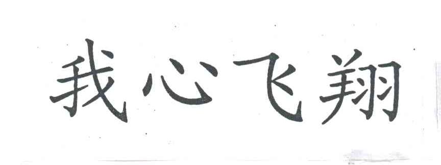 我心飞翔