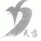 天荡