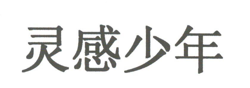 灵感少年