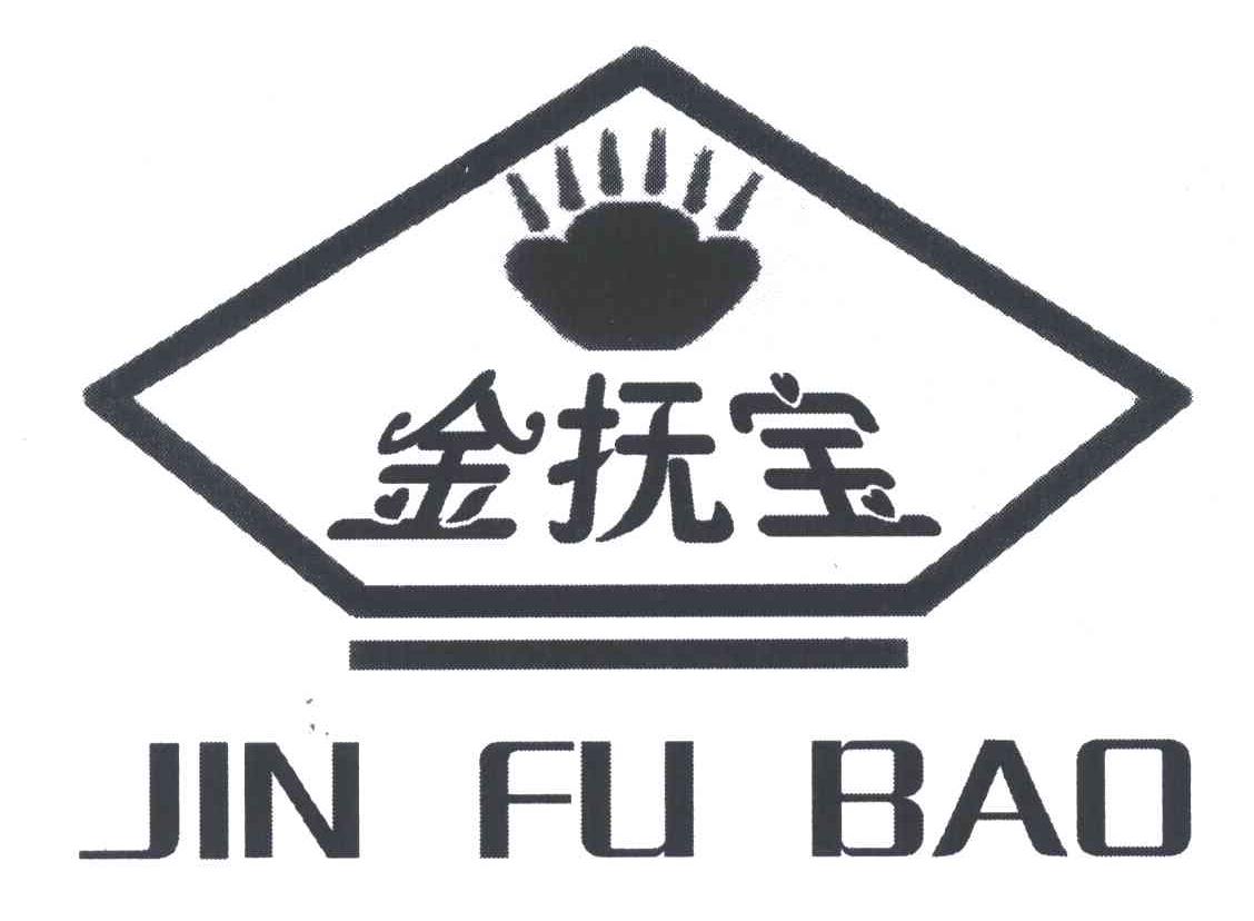 金抚宝