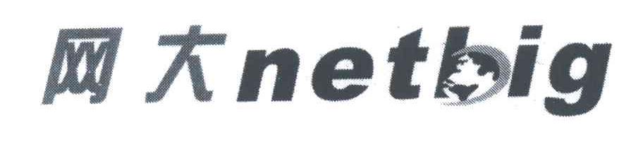网大;NETBIG
