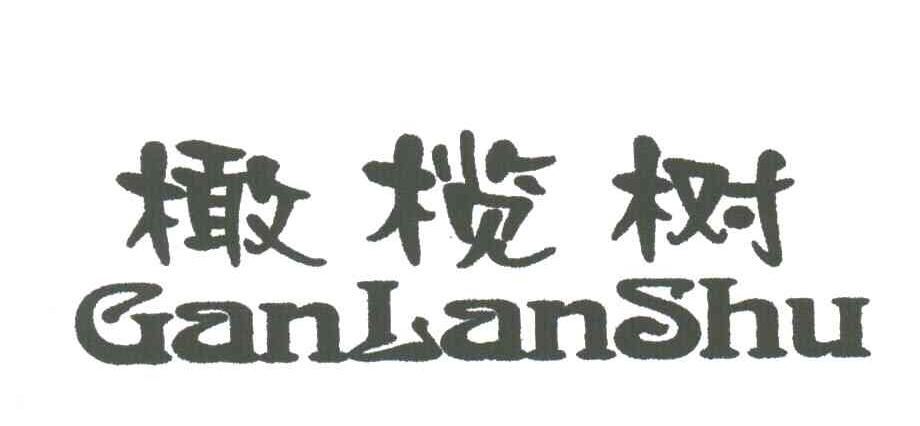 橄榄树