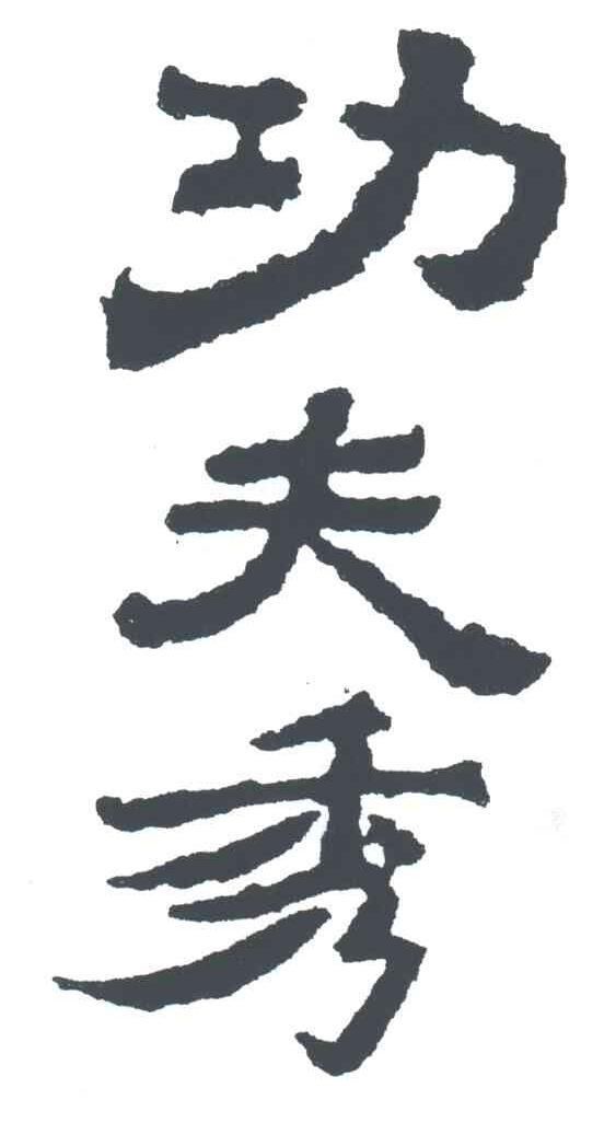 功夫秀;
