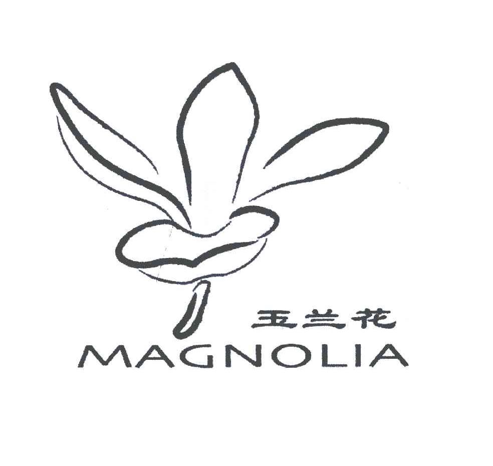 玉兰花;MAGNOLIA