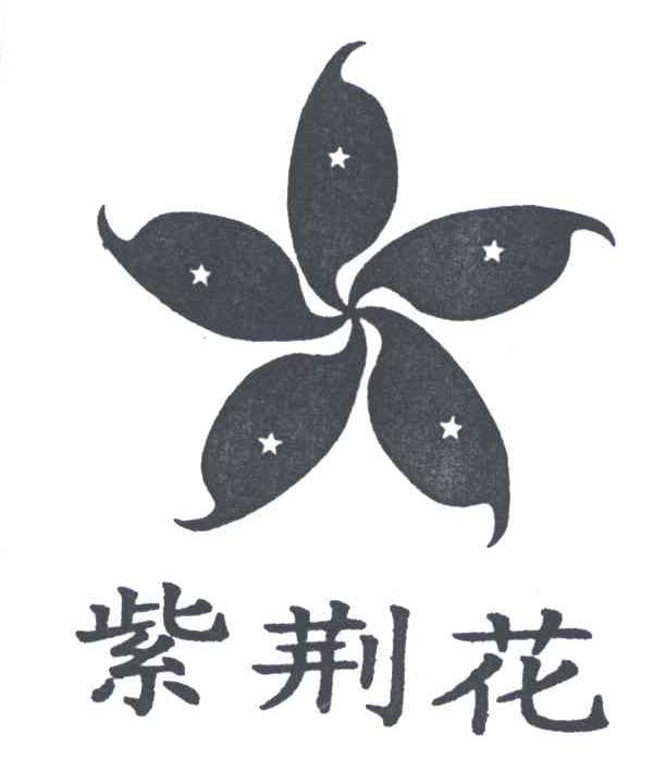 紫荆花