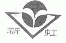 新虹