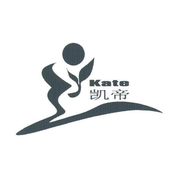 凯帝;KATE