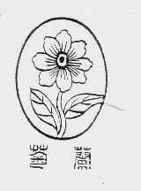 菊兰