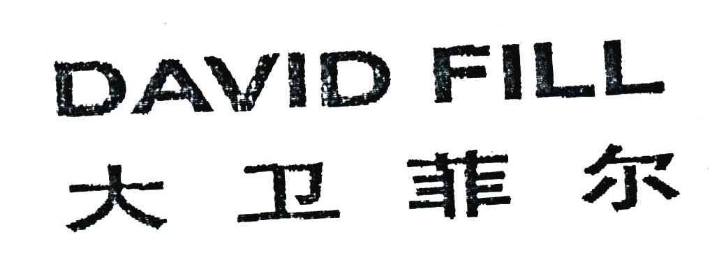 大卫菲尔;DAVID FILL