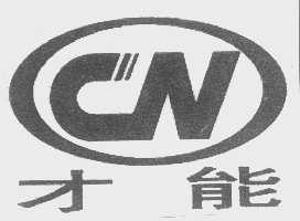 才能