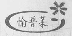 愉普莱