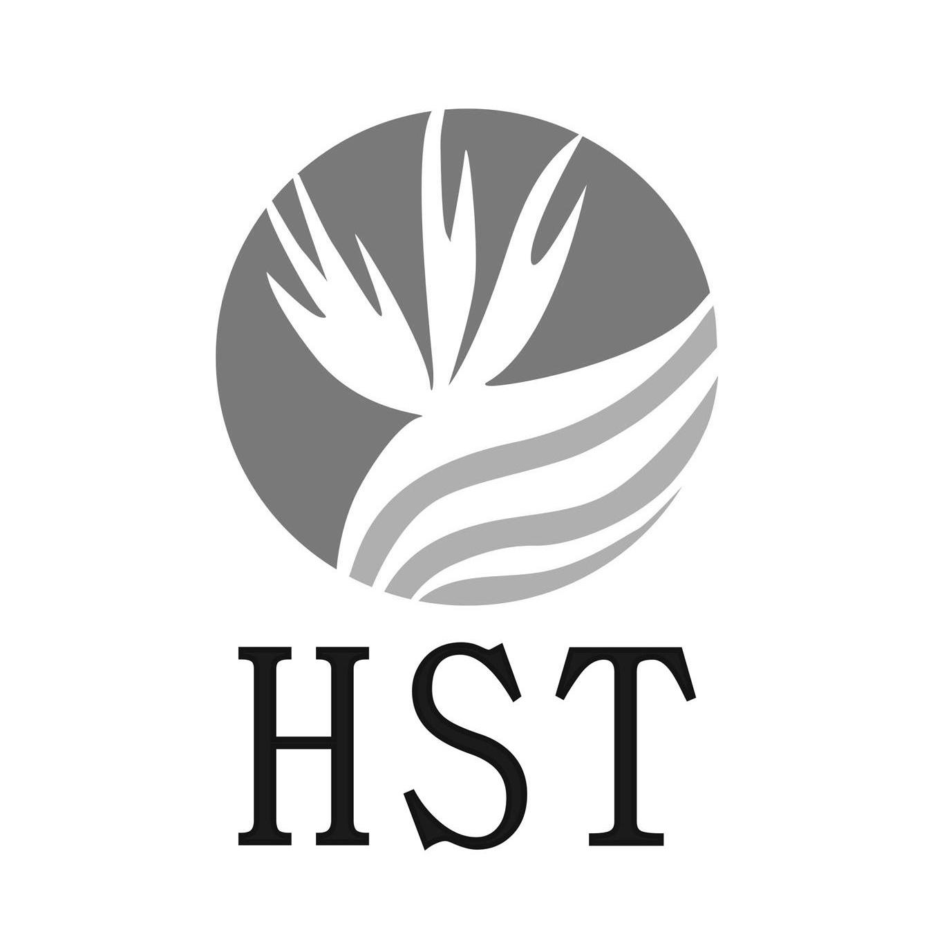HST
