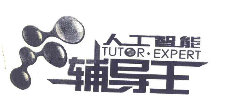 人工智能辅导王;TUTOR&middot;EXPERT