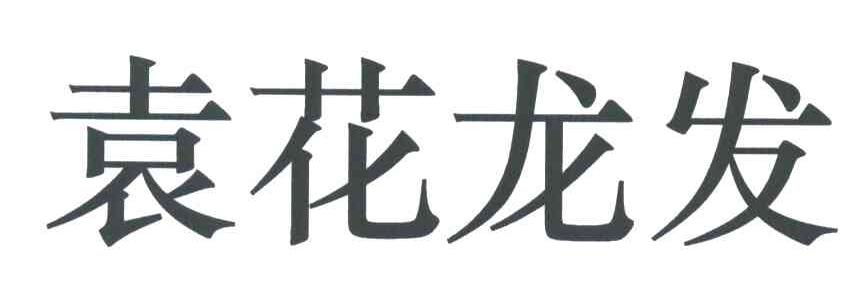 袁花龙发