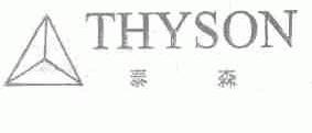 泰森;THYSON