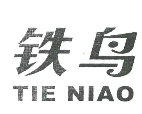 铁鸟