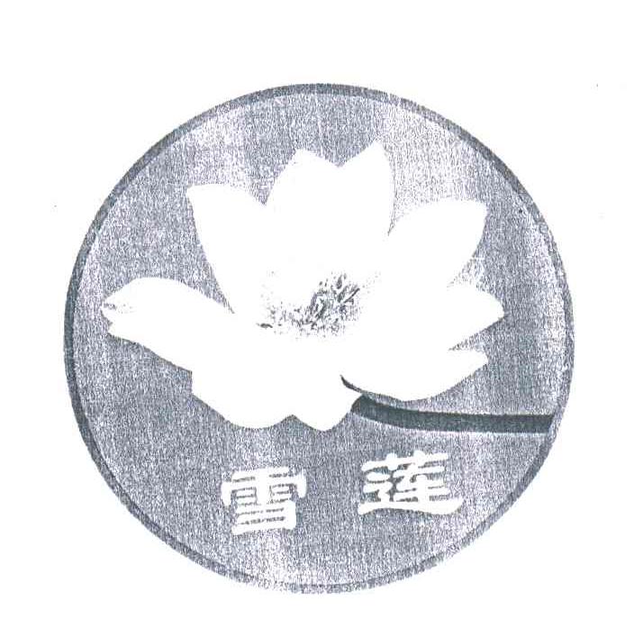 雪莲