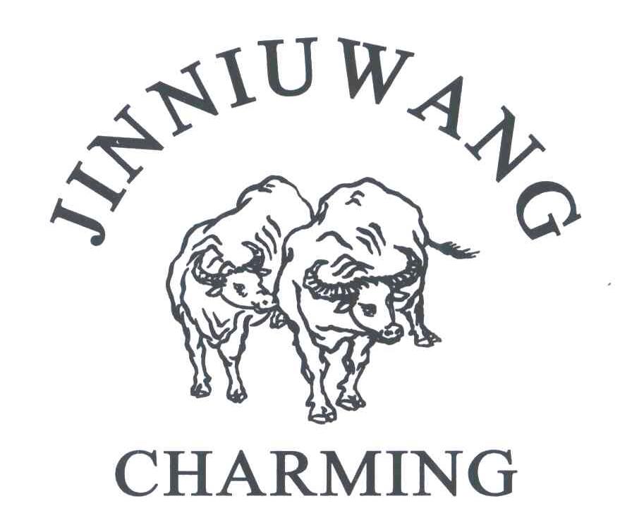 JINNIUWANGCHARMING