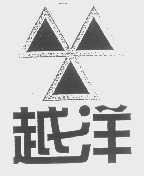 越洋