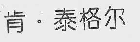 肯.泰格尔