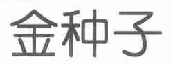 金种子