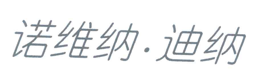 诺维纳.迪纳
